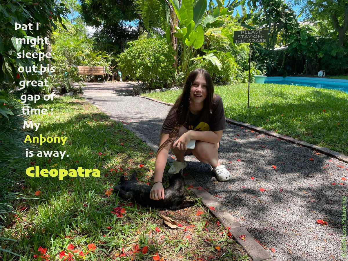 Shakespeare Antony and Cleopatra inspired literary collage featuring Cleopatra quote over tropical Key West garden photography with black cat companion imagery. Contemporary Shakespeare artwork blending romantic longing, literary portrait photography, southern tropical atmosphere, and playful reinterpretation of classical tragedy. At Earnest Hemingway home in Key West.