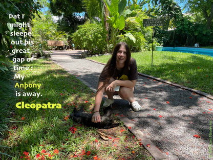 Shakespeare Antony and Cleopatra inspired literary collage featuring Cleopatra quote over tropical Key West garden photography with black cat companion imagery. Contemporary Shakespeare artwork blending romantic longing, literary portrait photography, southern tropical atmosphere, and playful reinterpretation of classical tragedy. At Earnest Hemingway home in Key West.