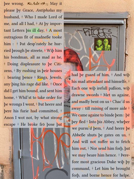 Text from The Comedy of Errors layered over an urban doorway covered in graffiti, street markings, and fragments of Shakespearean dialogue. Inspired by a scene in which a husband seemingly vanishes from sight, the image blends comic confusion, disappearance, and contemporary city texture — including a mural resembling Willem Dafoe.