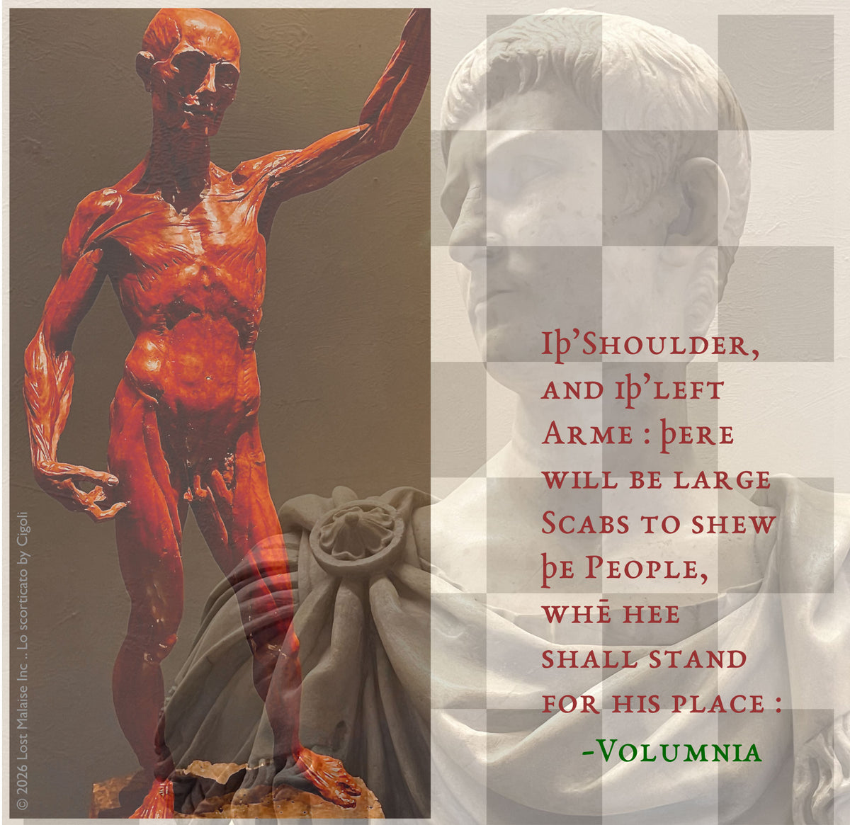 A passage from *Coriolanus* in which Volumnia imagines her son displaying his battle scars before the Roman people, layered between a marble Roman portrait and a flayed anatomical figure. The confrontation between idealized civic form and exposed musculature turns the speech into a meditation on glory, bodily sacrifice, and the public display of violence.