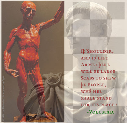 A passage from *Coriolanus* in which Volumnia imagines her son displaying his battle scars before the Roman people, layered between a marble Roman portrait and a flayed anatomical figure. The confrontation between idealized civic form and exposed musculature turns the speech into a meditation on glory, bodily sacrifice, and the public display of violence.