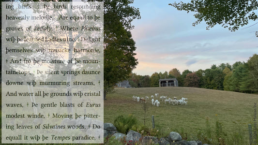 Shakespeare Locrine pastoral vision superimposed over a New England sheep meadow at sunset. Literary landscape collage evoking paradise, rural harmony, Renaissance pastoral imagery, and early modern reflections on nature, music, and the “happy Iles.”