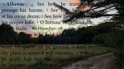 road at sunset. Pastoral landscape photography fused with prophetic battlefield imagery, ruin, decay, and early modern tragedy in atmospheric literary collage wall art.