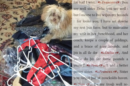 Text from The London Prodigal concerning the expense of maintaining household comforts and animals layered over a contemporary domestic scene featuring a small dog atop a pile of clothes and hangers. A comic meditation on comfort, disorder, and everyday luxury.