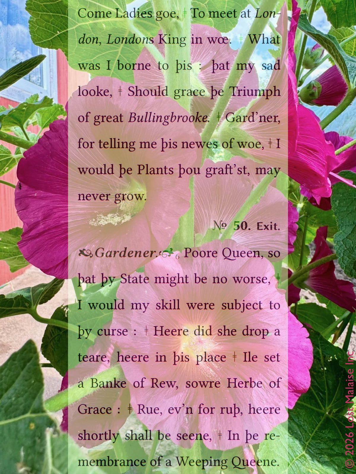 Shakespeare *Richard II* text showing the Queen mourning Richard’s downfall while gardeners plant rue in remembrance of the weeping queen, overlaid on vivid pink hollyhock flowers and lush green garden foliage.