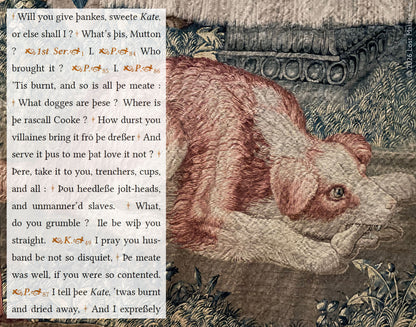 Þe Taming of þe Shrew, v1