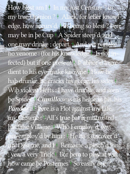 **Shakespeare *The Winter’s Tale* Leontes jealousy speech collage depicting the king’s growing paranoia over Hermione and Polixenes, overlaid on an icy winter streetscape in Readfield, Maine featuring snowbanks, frozen sidewalk, and rural New England atmosphere. Literary wall art blending psychological obsession, betrayal, winter isolation, and contemporary Shakespeare text photography.**